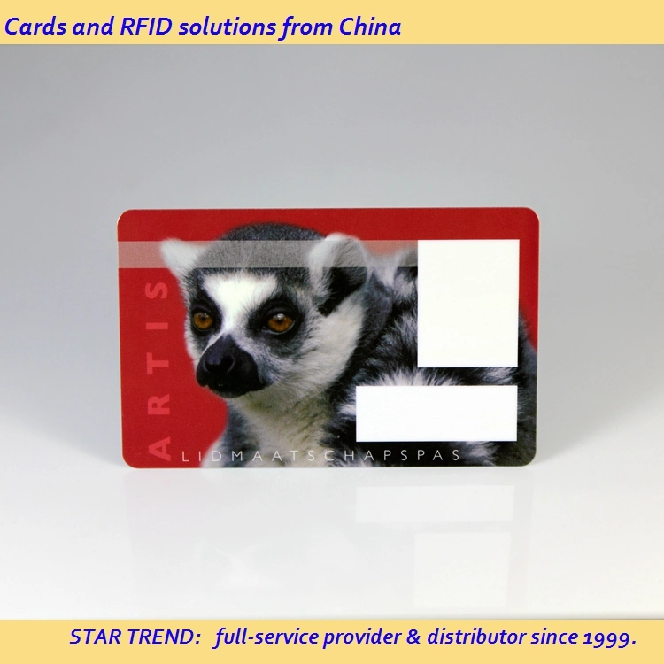 Plastic Gift Card in Credit Card Size with Perfect Printing Shanghai Star Trend