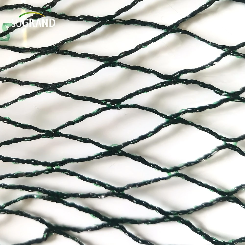 High quality/High cost performance  Agriculture Shade Anti Bird Netting