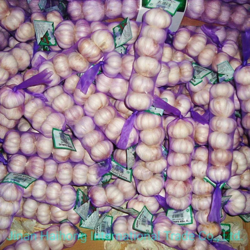 New Wholesale/Supplier Chinese Good Price Pure Fresh Dried Ordinary/Super White Fresh Garlic