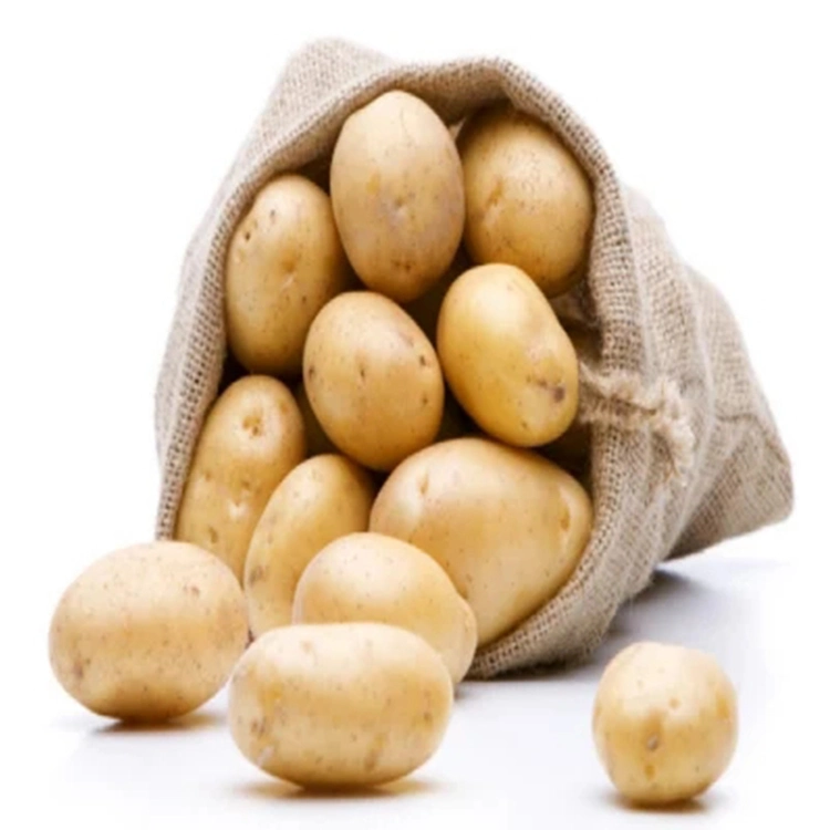 Fresh Big Potato Positive Potato