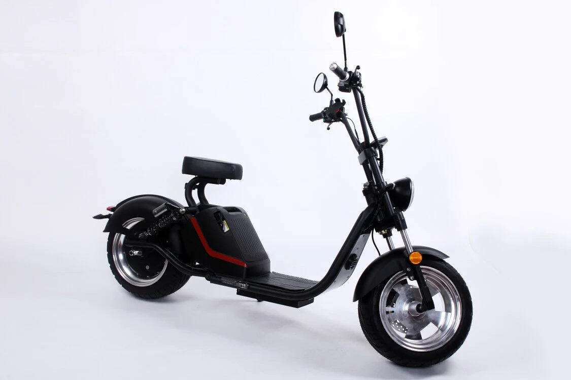 2020 Hot Bicycle Cheap Factory Price Light Weight Adult Electric Citycoco with Double Disc Brakes