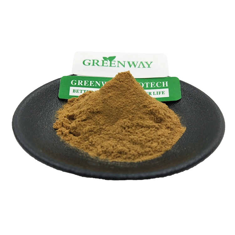 Cosmeitc Grade Organic Melissa Officinalis Extract 3% Rosmarinic Acid Lemon Balm Extract Powder