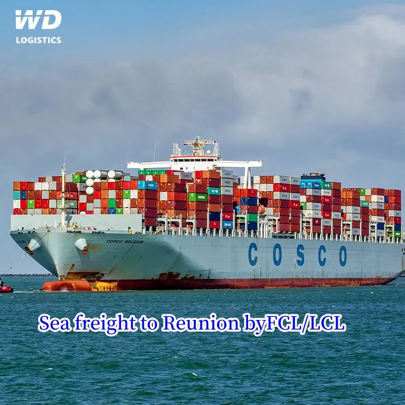 Fast Door to Door Delivery Service Sea Shipping Freight Forwarder