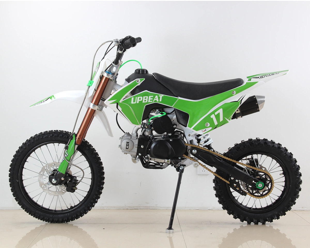 125cc Abt Engine Green New Cheap Electric Dirt Bike for Sale