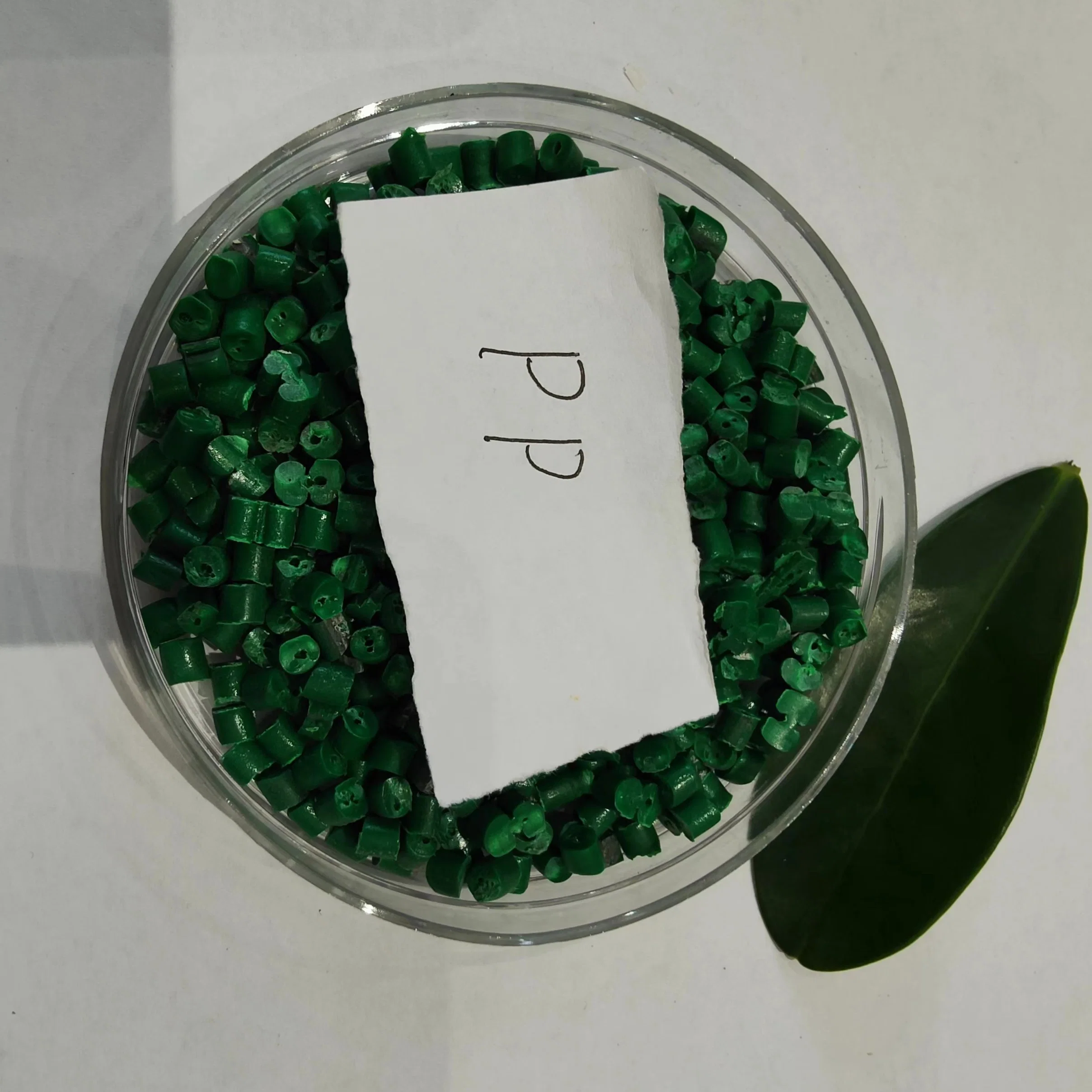 2023 Gránulos Polipropileno PP material Pellet plástico materia prima Gránulos