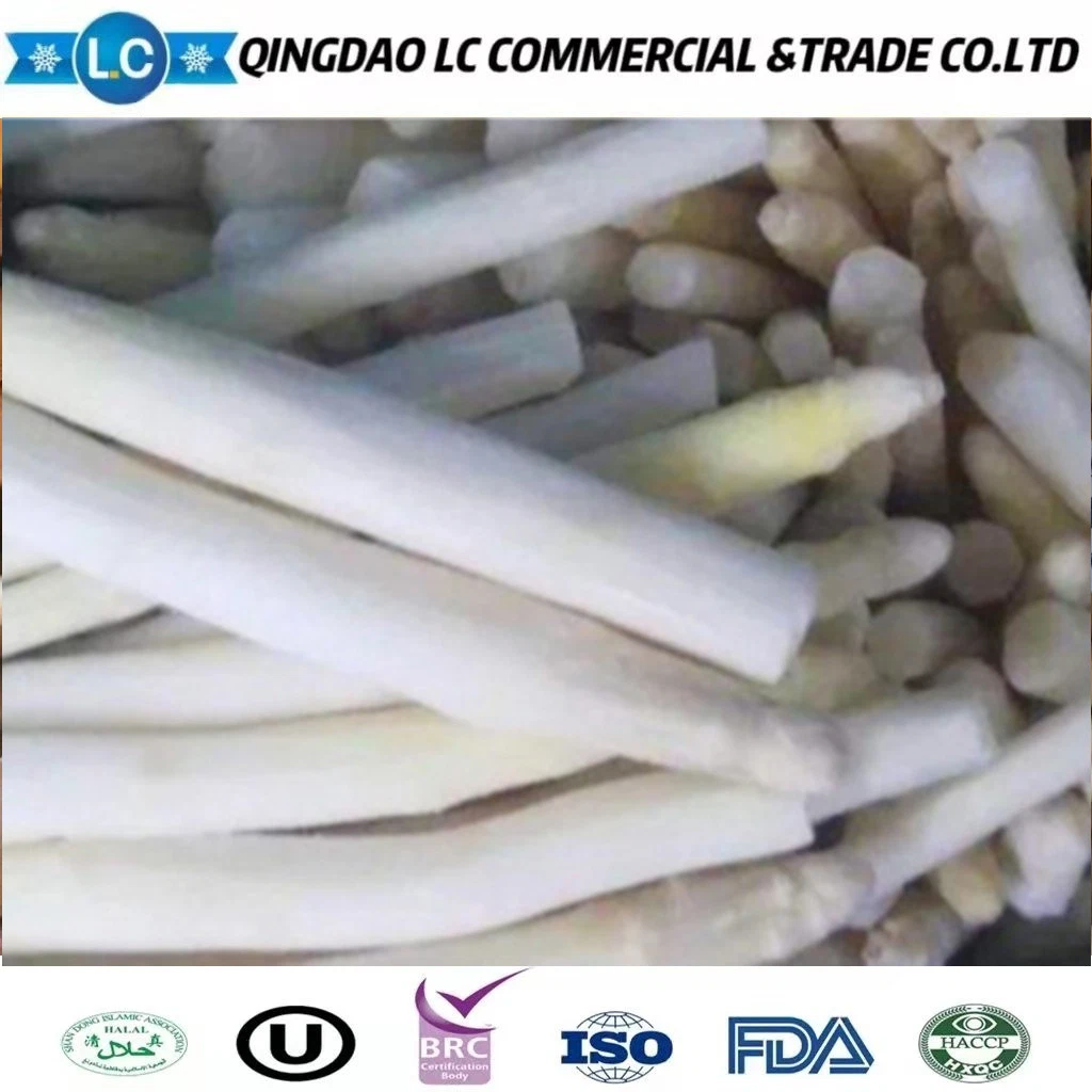 IQF Frozen White Asparagus Paragraph