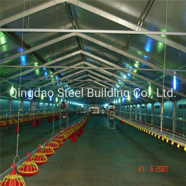 China High quality/High cost performance  Light Steel Structure Chicken Building