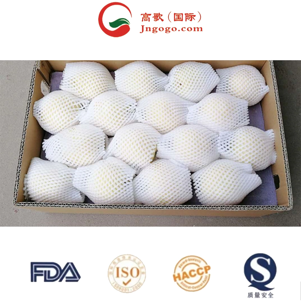 Chinese Fresh Yellow Pear Vitamins Fine Top Grade High Sugar