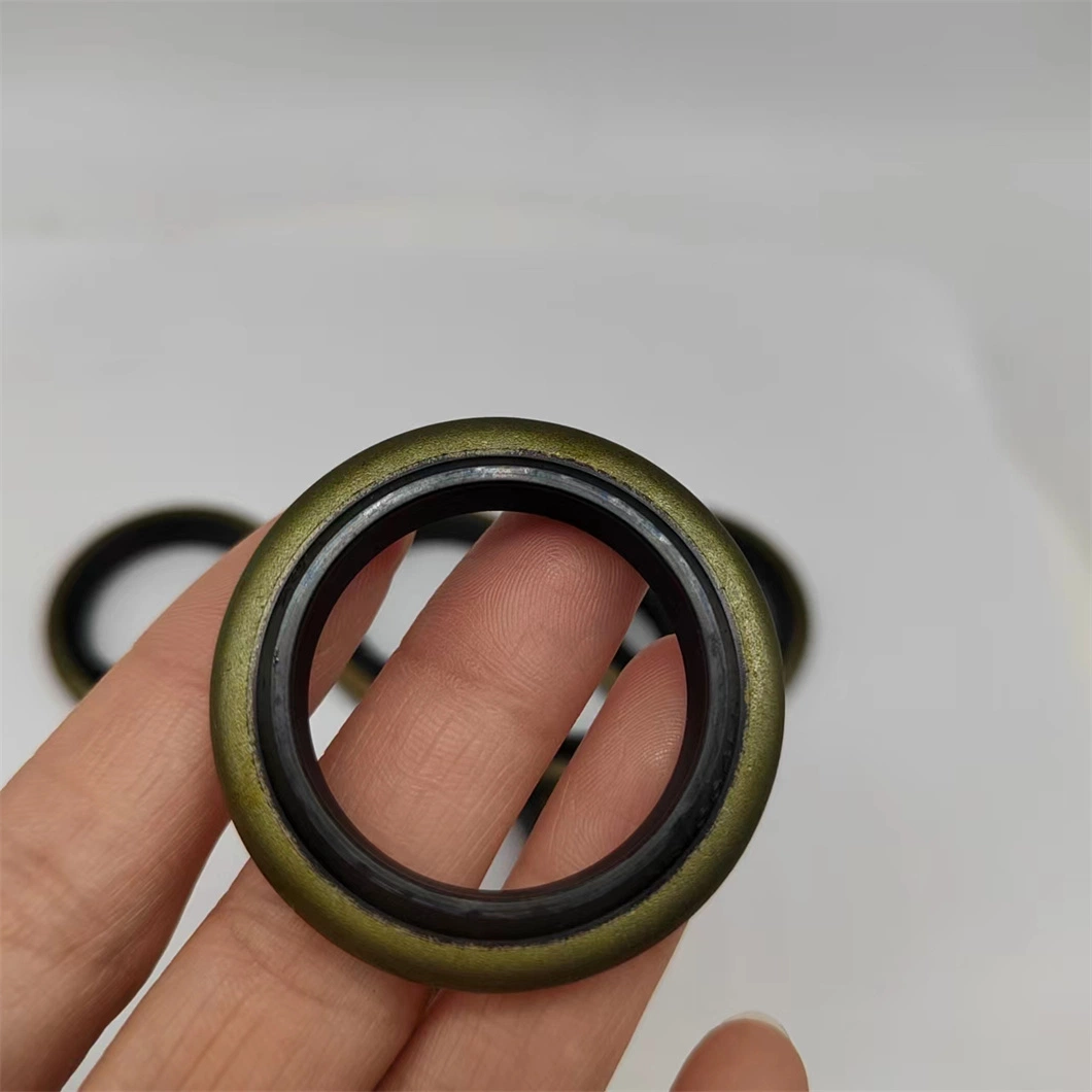 High Pressure Resistant Iron Shell Hydraulic Metal Skeleton Oil Seal Dkb Piston Rod Dust-Proof NBR Sealing Ring