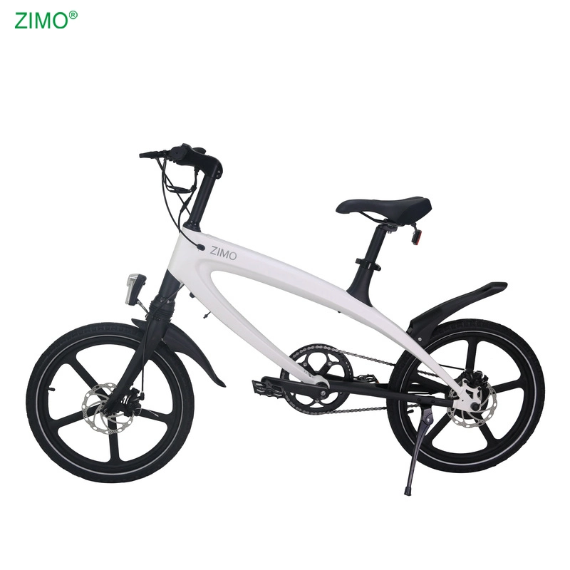 2023 Popular 36V 240W E City Bicycle Sports Pedal Assist Electric Bike