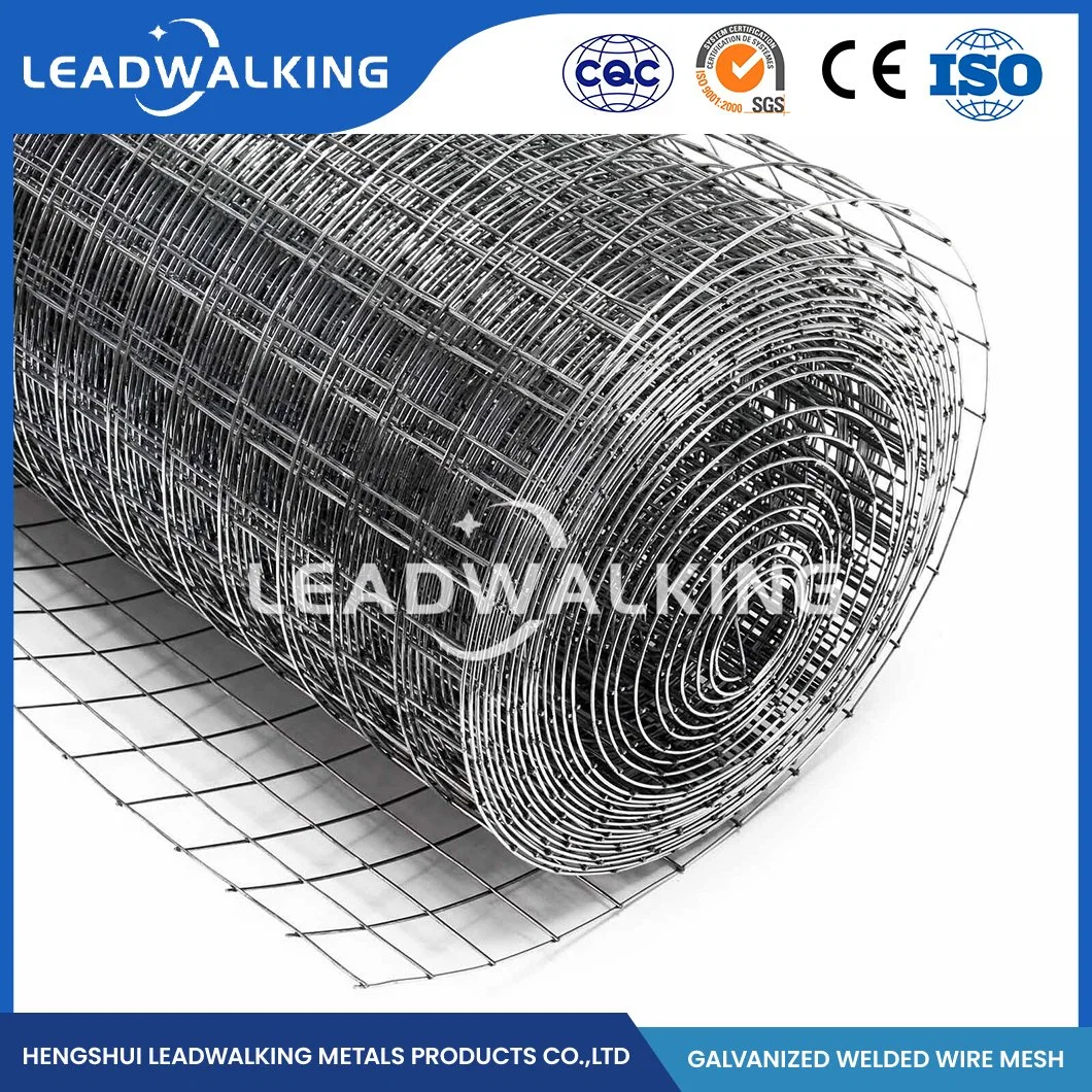 Leadwalking 12 Gauge Vinyl Coated Welded Wire Fencing Manufacturers Custom Woven Welded Wire Mesh China 100.0X75.0mm Galvanized Welded Wire Mesh Sheet
