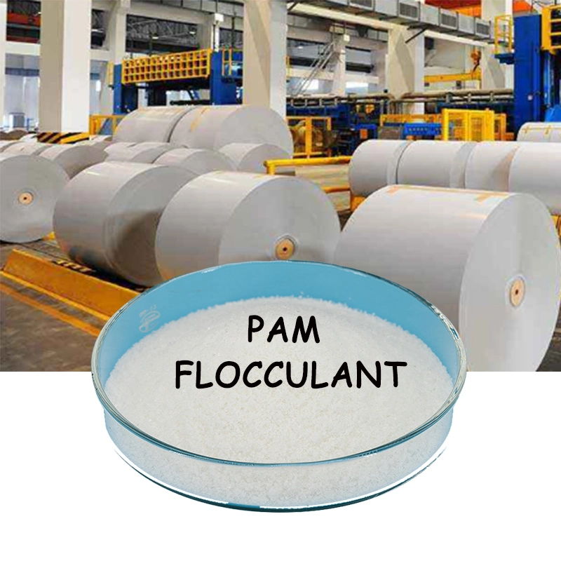 Low Price Viscosifier Lubricant PAM Flocculant Negative Ion Adhesive Partially Hydrolyzed Polyacrylamide