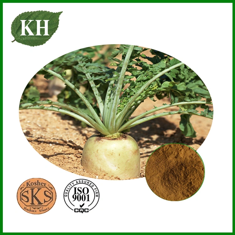 Radish Seed Extract; Raphanus Sativus L; CAS No.: 592-95-0;