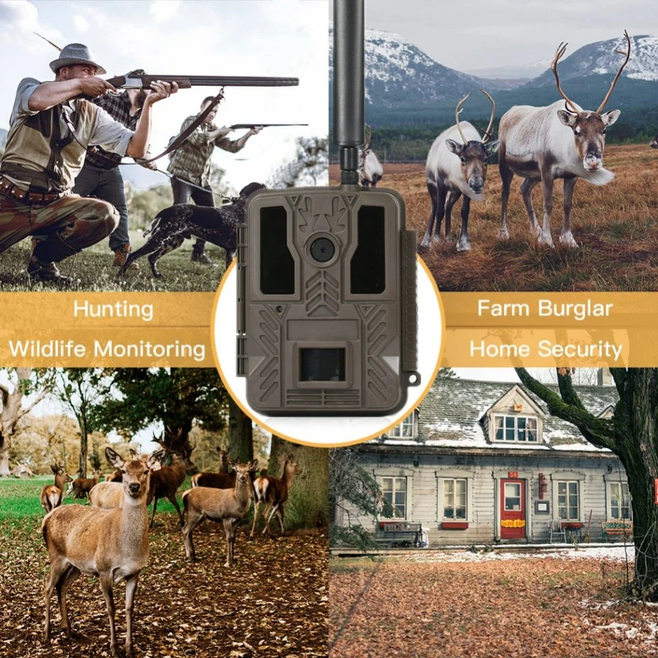 No Glow High Power LEDs IR Wildlife Surveillance Cameras 36MP FHD 30m IR-Range 4G MMS SMS FTP Hunting Trail Cameras