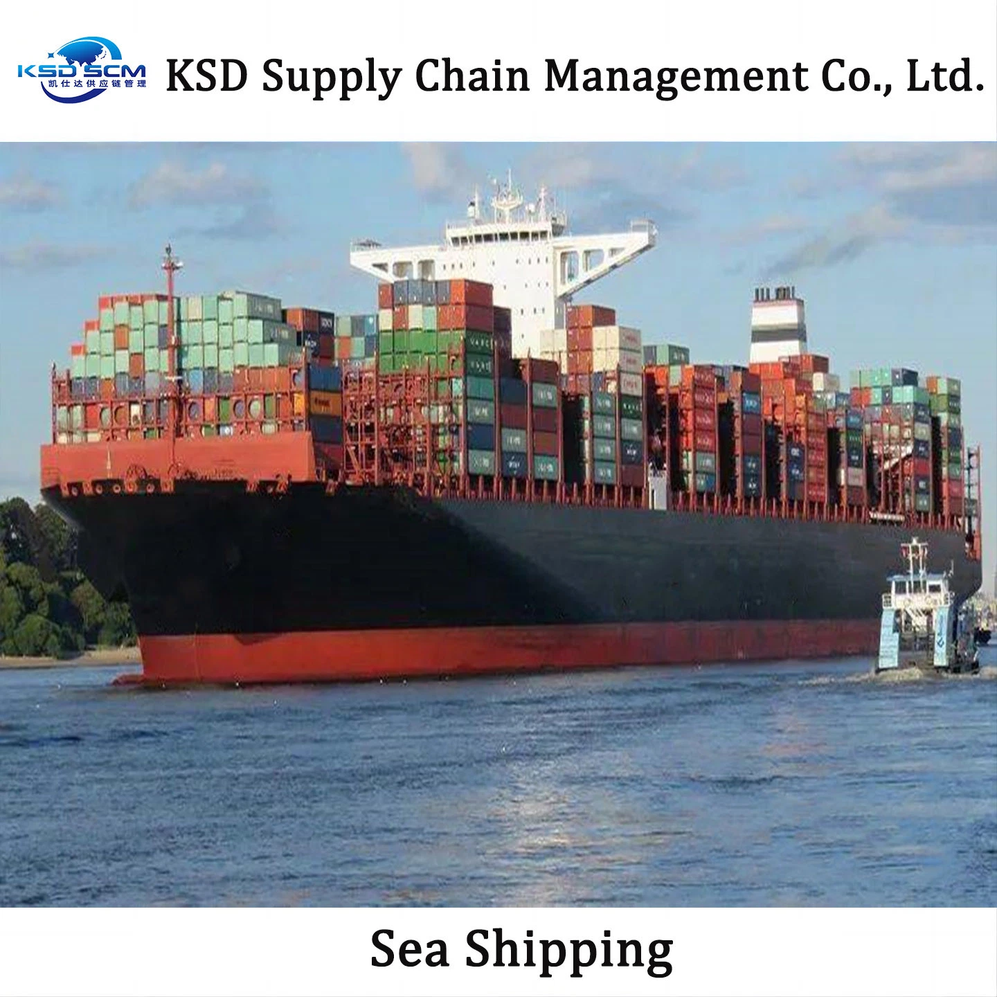 Cheapest Sea Shipping Container 40FT Forwarder From China to Indian Sea Freight Shipping