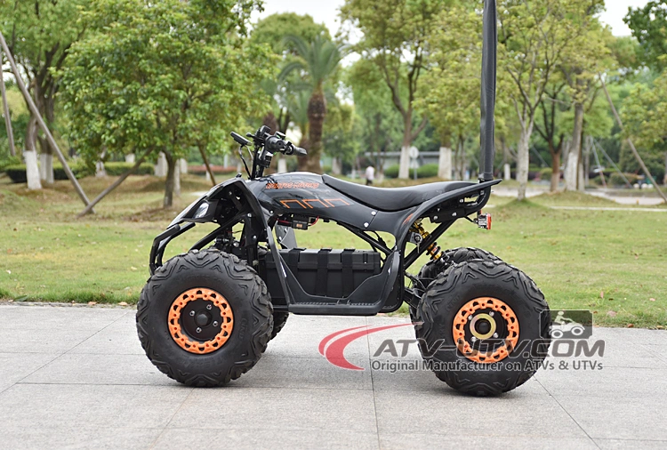 48V 750W Electric Quad ATV Biek con DC Motor sin escobillas con ATV Quad CEE