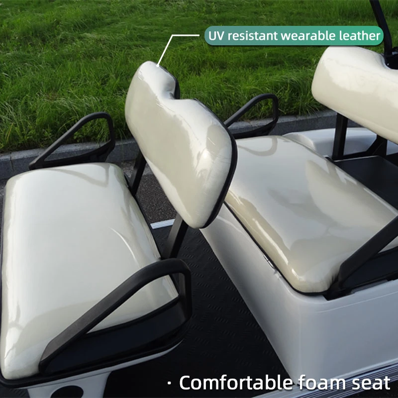 Custom 4 Passengers Community Golf Cart for Beach Zone All Terrain Coastal Community Hunting Dormitory Transportation