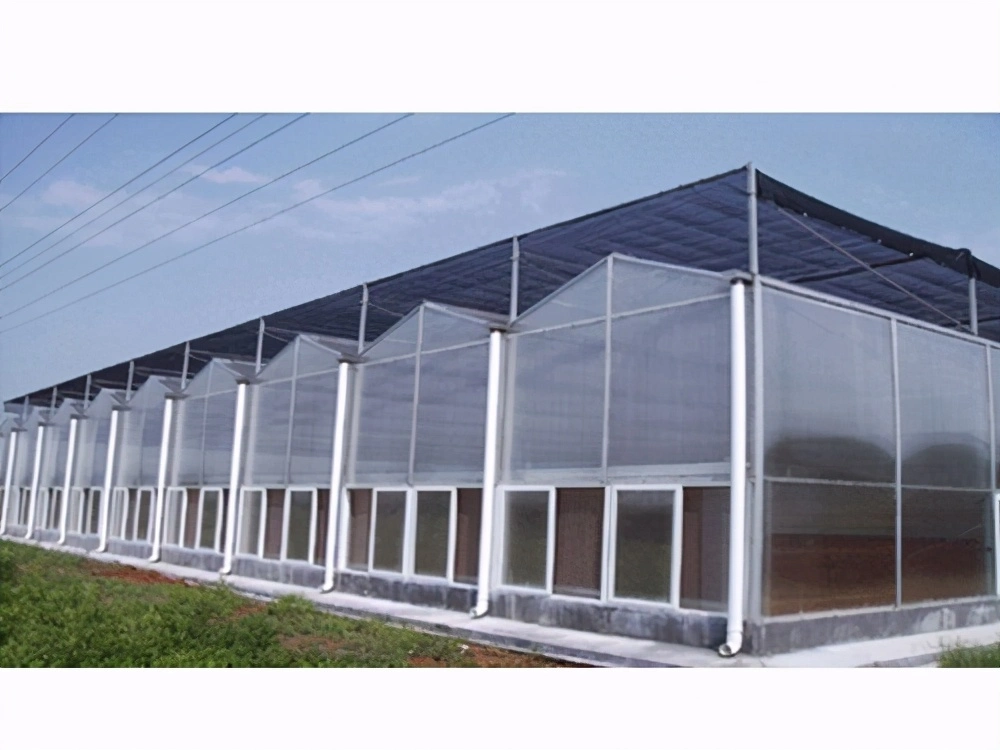 Commercial Hydroponic Greenhouse Project