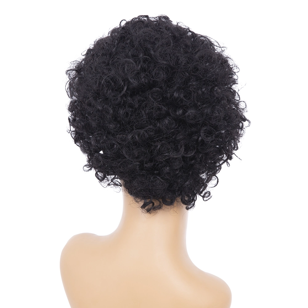 Pixie Cut Style Wig Brazilian Afro Kinky Curly Human Hair Wigs