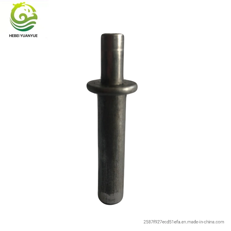 Custom Automotive Industry Fastener Cold Forming Parts