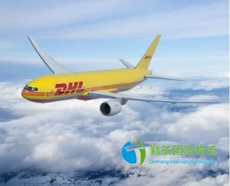 DDP/DDU professionnel/courrier express international DHL/UPS/FedEx/TNT expédition à l'Inde