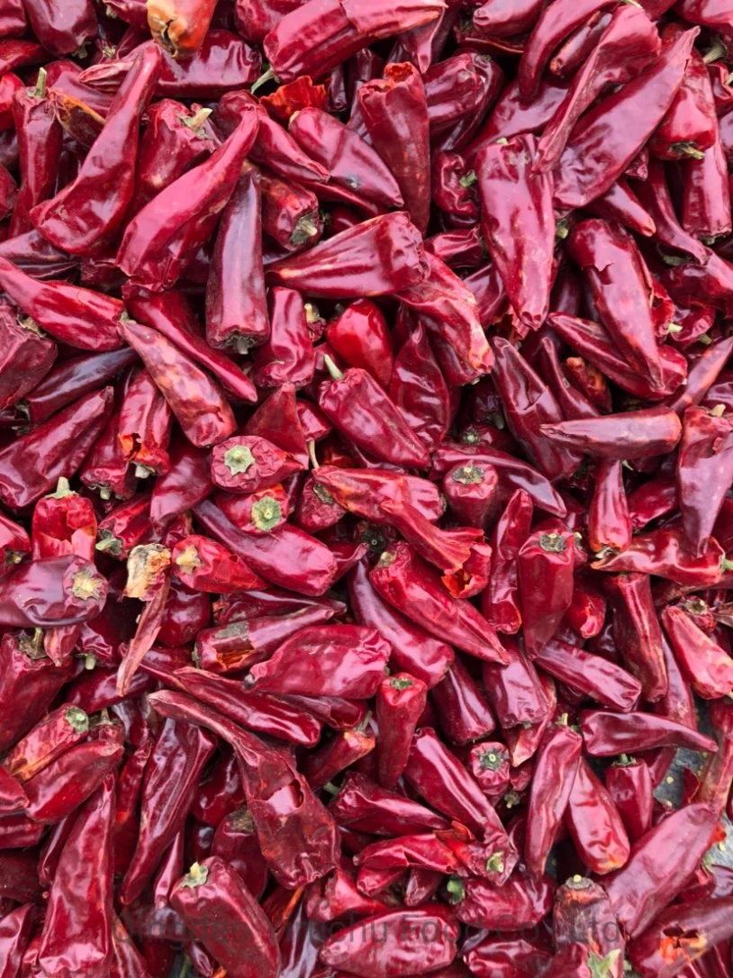 The Factory Directly Supplies Food-Grade Beijing Red Chilli