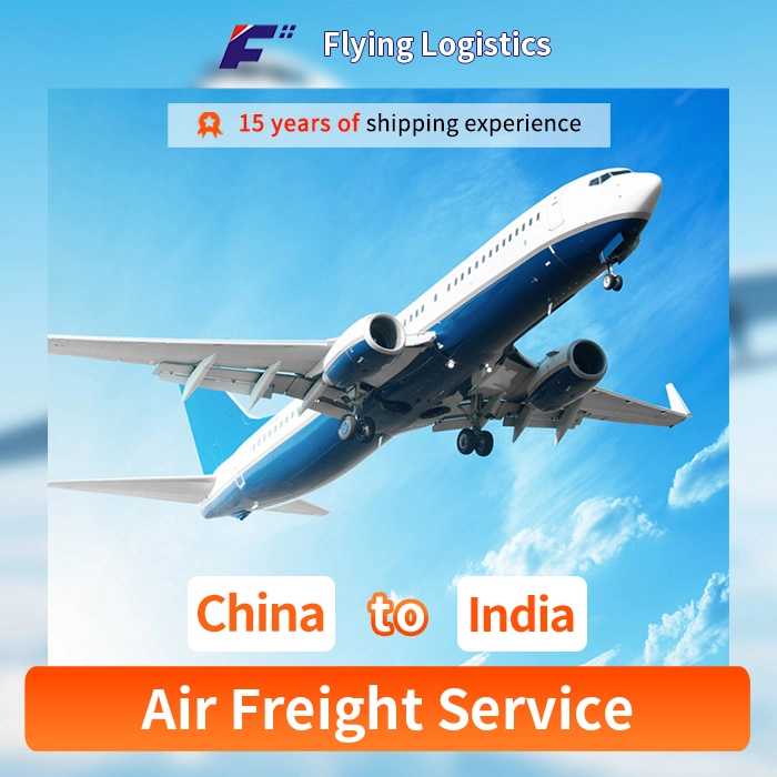 Professional Cargo Service Company, Cheapest Air Freight From China to India Shipping Service