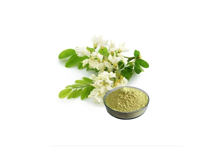 Rutin Rutinum Rutoside Sophora Japonica extraer