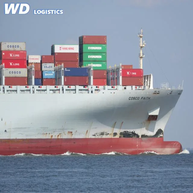 Door to Door Services Sea Freight Forwarder China Shipping Agent to USA