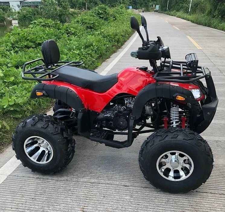 Fangpower 125cc 200cc Quad Bike Electric ATV for Sale