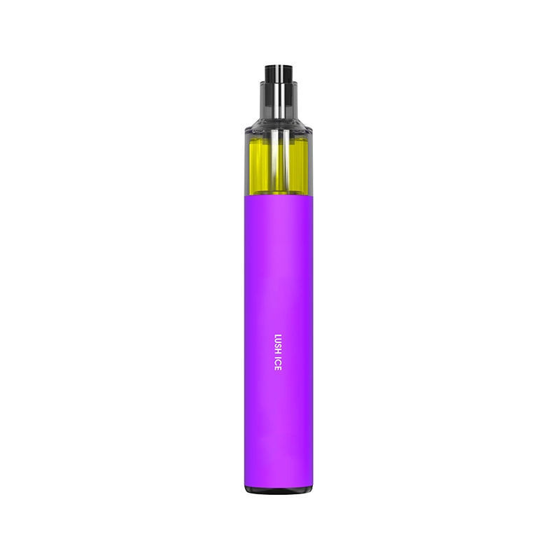 China Electrónica de cigarrillos Fabricante Vapeez OEM Vaporizer desechable VAPE Pen