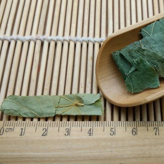 Yinyanghuo médecine chinoise de haute qualité feuille d'Epimedium brute