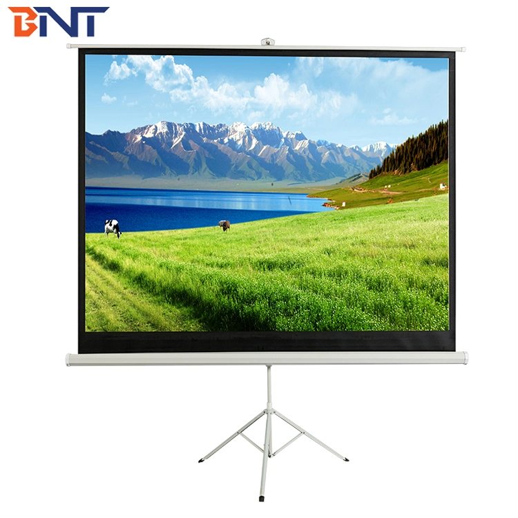 Customizable Projection Screen Automatic Lift Projection Screen Cost-Effective HD Projection Screen