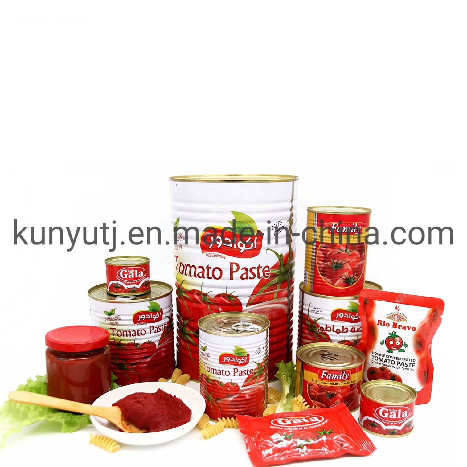 Canned Tomato Paste 198g with High quality/High cost performance 