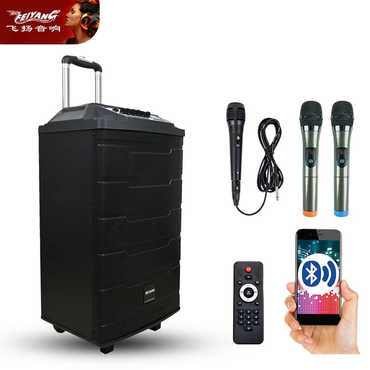 Professional Vogue Karaoke Wooden Amplifier Mobile Trolley Portable Wireless Microphone Bluetooth Digital Audio System Speakers