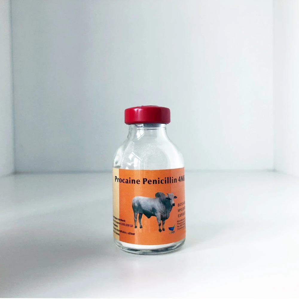 Veterinary Medicines Fortified Procaine Penicillin 4miu for Injection