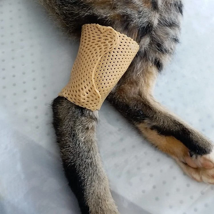 Best Splint Veterinary Orthopedics Splints for Animals