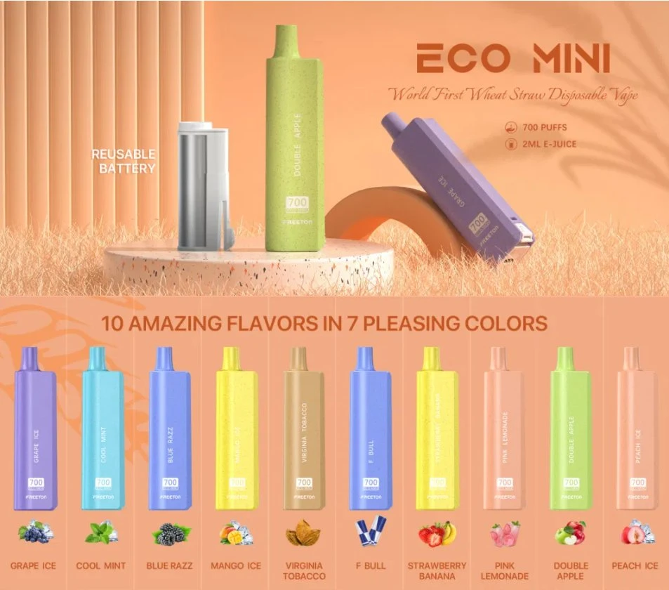 Freeton Eco Mini Disposable Vape Pod Pen Ecig 700 Puffs Electronic Cigarette