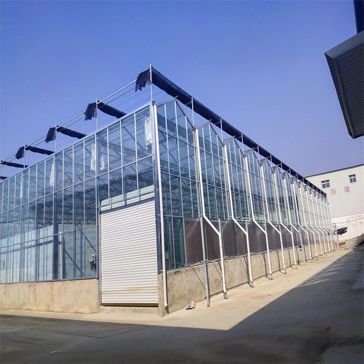 Transparent Corrugated Plastic UV Protection PC Panel Polycarbonate Roofing Hollow/Solid Sheet for Greenhouse Roof