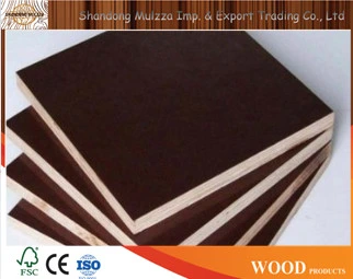 Film Faced Plywood / Formwork Hardwood Plywood/ Commercail Plywood