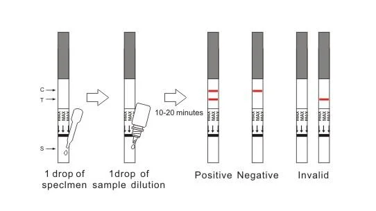 Runbio David One Step Hepatitis C Virus HCV Test Ivd Test Kit