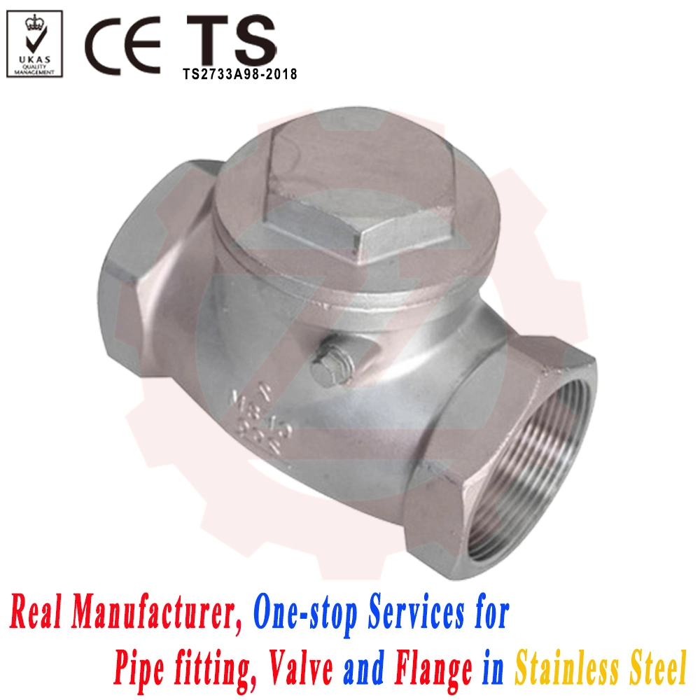 316L Pn10 10bar Swing Check Valve for Fuel Line