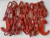 Durable Color Painted Lashing Chain with Co/Form a Certificate