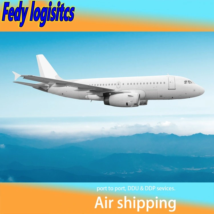 Air Cargo Service Freight Forwarder to Canada/Mexico/Cuba/Jamaica/Haiti/Dominica/Puerto Rico/Dominica/Grenada/Barbados/Trinidad Tobago/Panama Sea Shipping