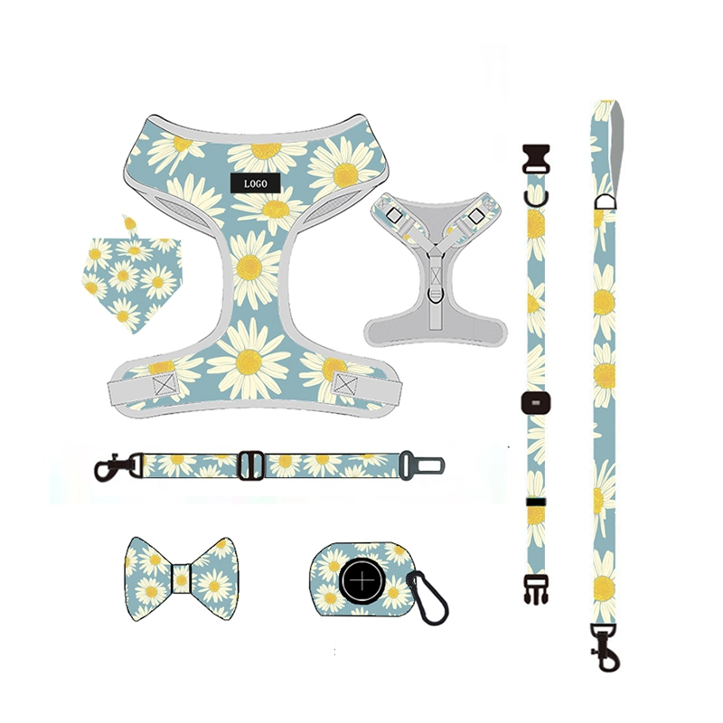 Wholesale Custom Logo PVC Dog Harness Leash Collar Sublimation Patterns Dog Leash Collar and Harness Set Dog Harness and Leash/Pet Accessory/Pet Accessories