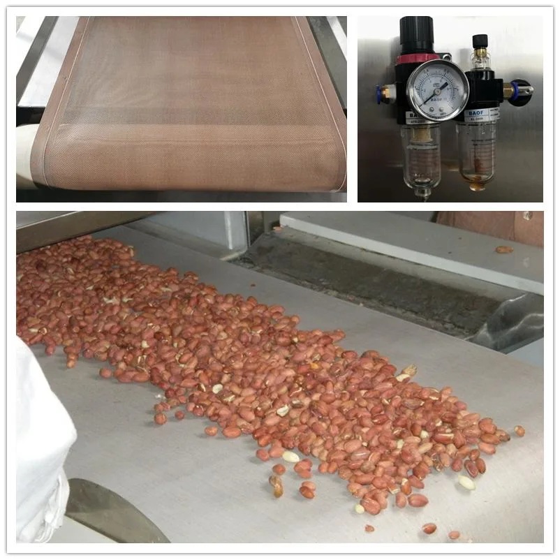 Tunnel Belt Microwave Peanut Nuts Curing Nuts Drying Machine