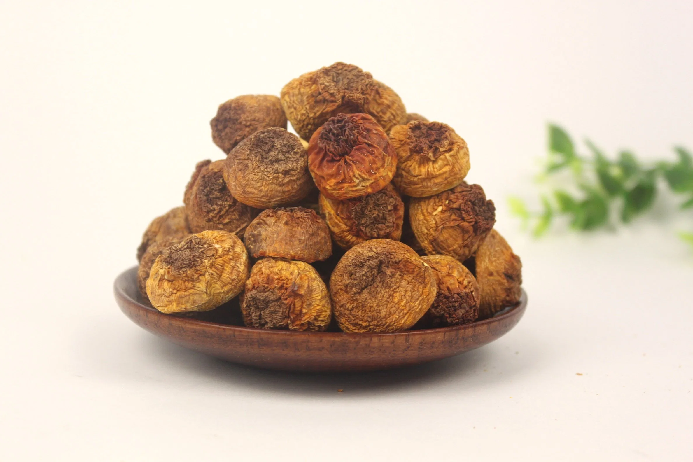 Natural Agaricus Blazei Murill Extract with High Quality Plant Extract