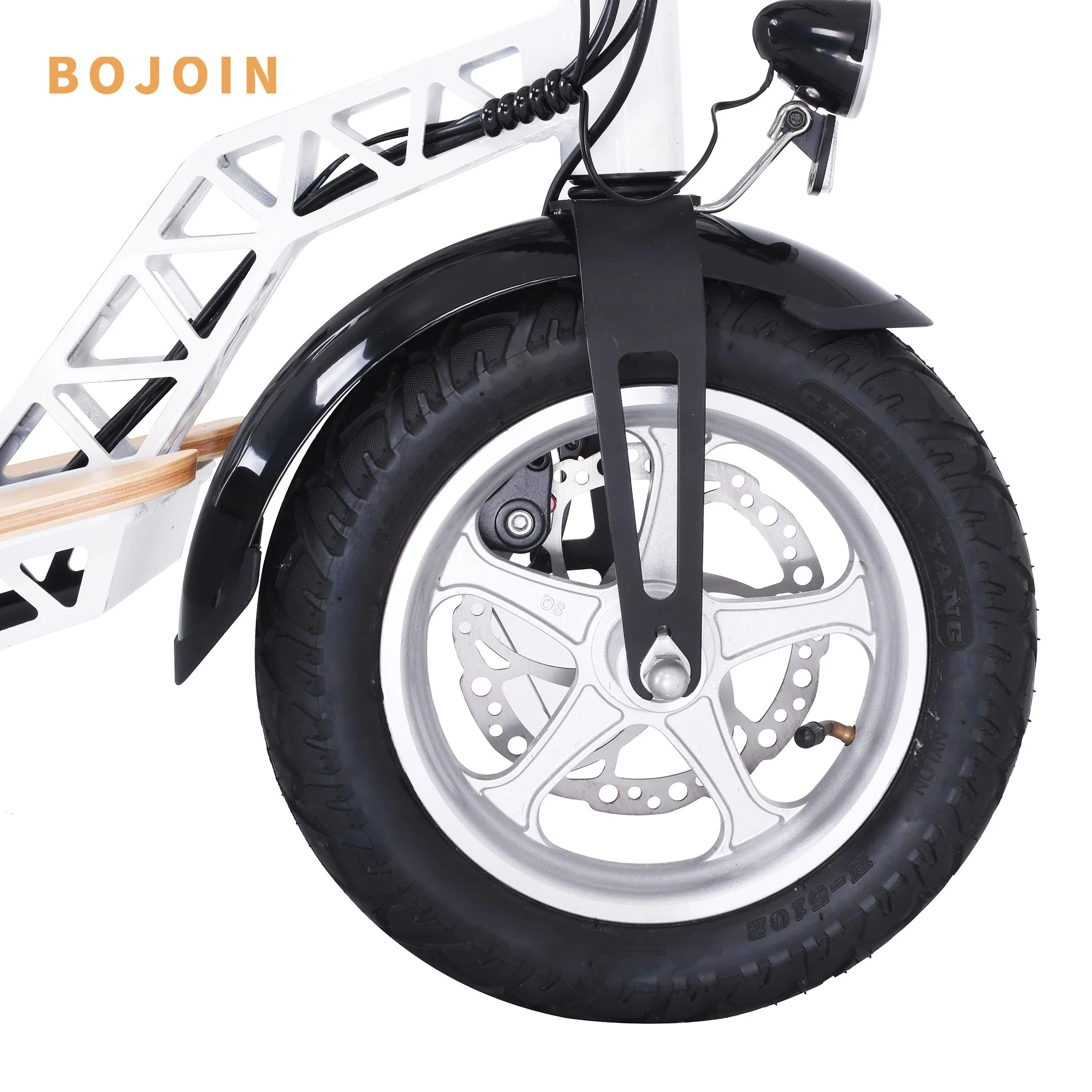 2 roues moteur de 350 W de la mobilité électrique Scooter E-Bike