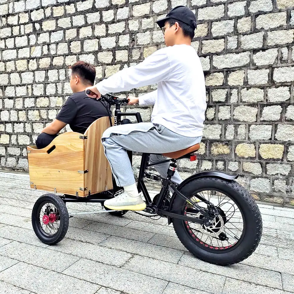 500W 750W Powerful Rear Motor Electric Tricycle 3 Wheels E Trike Cargo Bike Fat Tire Electric Trike