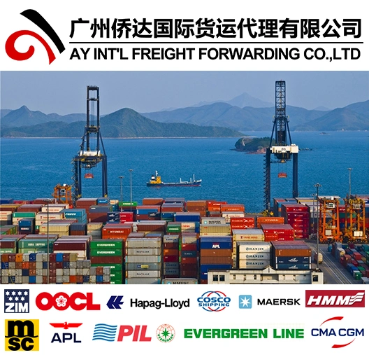 Cheap Shipping Freight From China to Chennai, India by Sea